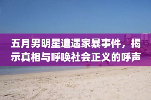 五月男明星遭遇家暴事件，揭示真相与呼唤社会正义的呼声