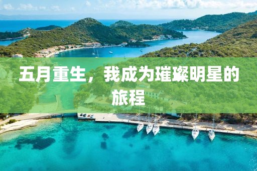 五月重生，我成为璀璨明星的旅程