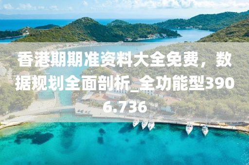 香港期期准资料大全免费，数据规划全面剖析_全功能型3906.736