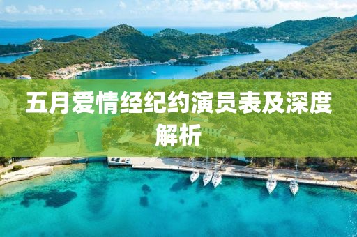 五月爱情经纪约演员表及深度解析