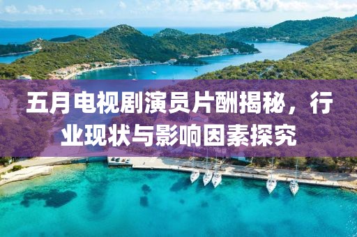 五月电视剧演员片酬揭秘，行业现状与影响因素探究