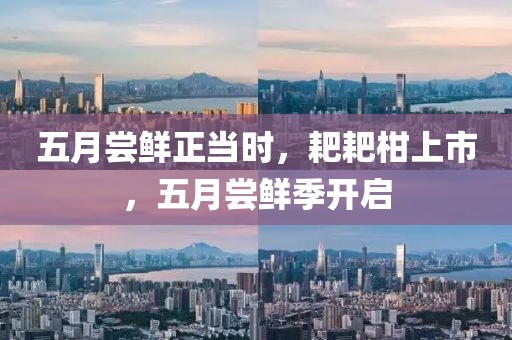 五月尝鲜正当时，耙耙柑上市，五月尝鲜季开启