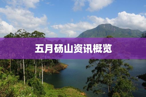 五月砀山资讯概览