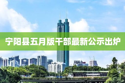 宁阳县五月版干部最新公示出炉