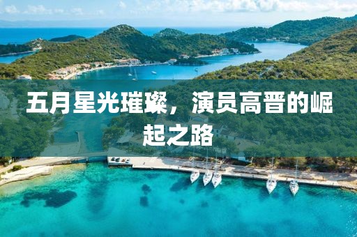五月星光璀璨，演员高晋的崛起之路