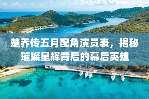 楚乔传五月配角演员表，揭秘璀璨星辉背后的幕后英雄