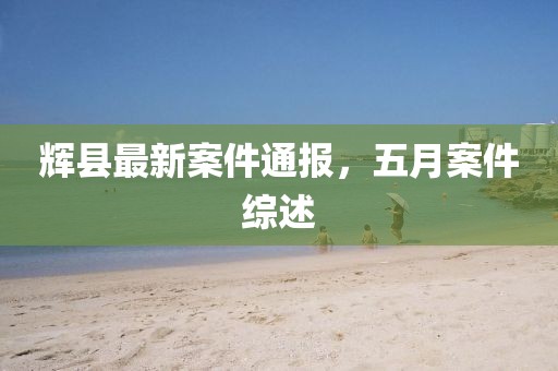 辉县最新案件通报，五月案件综述