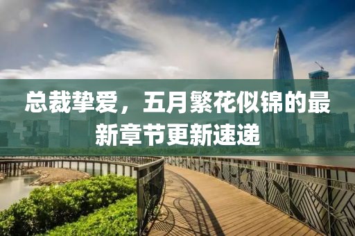 总裁挚爱，五月繁花似锦的最新章节更新速递
