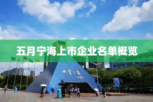 五月宁海上市企业名单概览