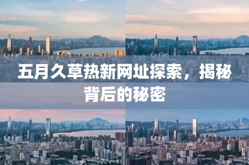 五月久草热新网址探索，揭秘背后的秘密