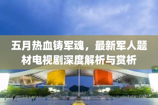 五月热血铸军魂，最新军人题材电视剧深度解析与赏析
