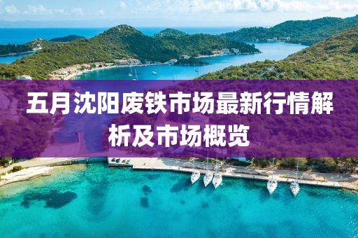 五月沈阳废铁市场最新行情解析及市场概览