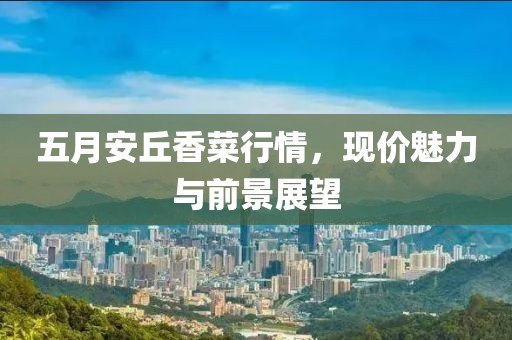 五月安丘香菜行情，现价魅力与前景展望