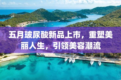 五月玻尿酸新品上市，重塑美丽人生，引领美容潮流