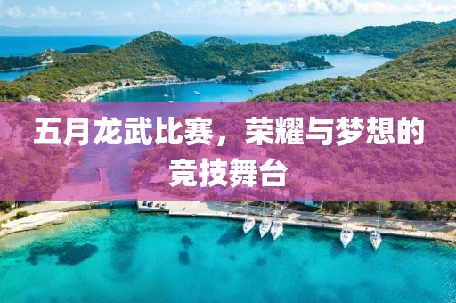 五月龙武比赛，荣耀与梦想的竞技舞台