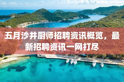 五月沙井厨师招聘资讯概览，最新招聘资讯一网打尽