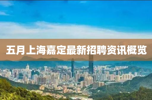 五月上海嘉定最新招聘资讯概览