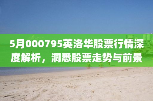 5月000795英洛华股票行情深度解析，洞悉股票走势与前景