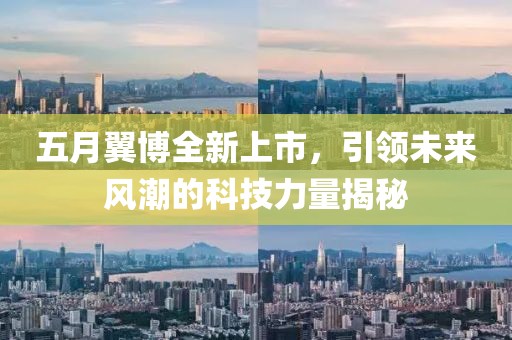 2025年6月11日