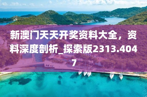 新澳门天天开奖资料大全，资料深度剖析_探索版2313.4047