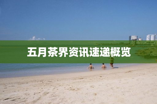 五月茶界资讯速递概览