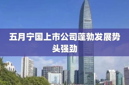 五月宁国上市公司蓬勃发展势头强劲
