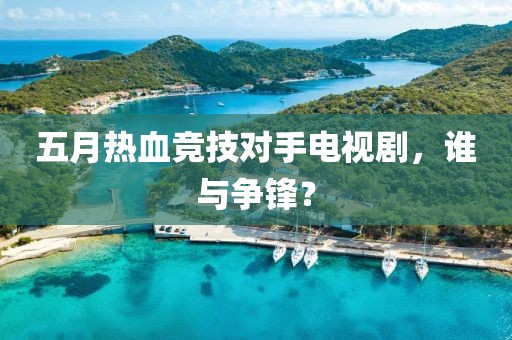 五月热血竞技对手电视剧，谁与争锋？