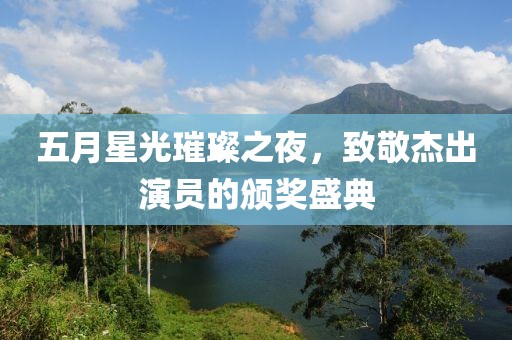 五月星光璀璨之夜，致敬杰出演员的颁奖盛典