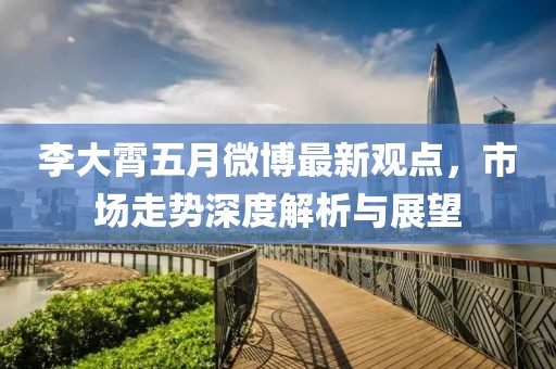 李大霄五月微博最新观点，市场走势深度解析与展望