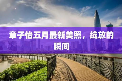 章子怡五月最新美照，绽放的瞬间