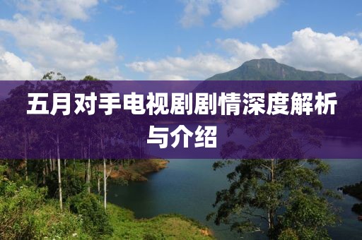 五月对手电视剧剧情深度解析与介绍