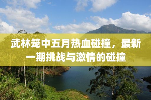 武林笼中五月热血碰撞，最新一期挑战与激情的碰撞