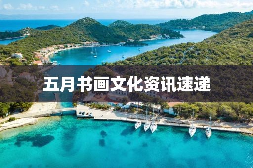 五月书画文化资讯速递