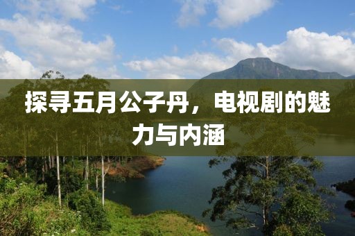 探寻五月公子丹，电视剧的魅力与内涵