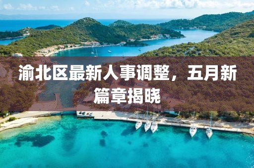 渝北区最新人事调整，五月新篇章揭晓