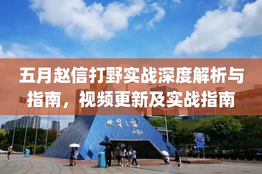 五月赵信打野实战深度解析与指南，视频更新及实战指南