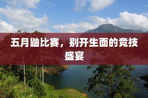 五月鼬比赛，别开生面的竞技盛宴