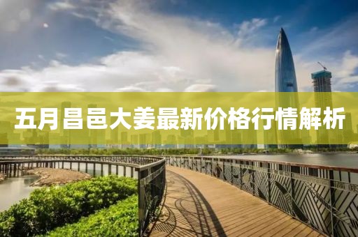 五月昌邑大姜最新价格行情解析