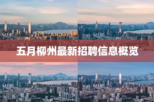 五月柳州最新招聘信息概览
