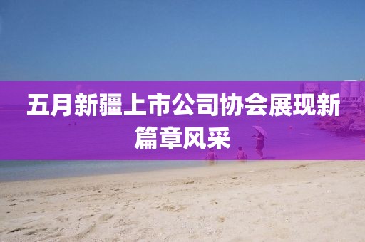 五月新疆上市公司协会展现新篇章风采