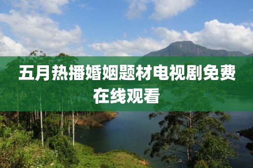 五月热播婚姻题材电视剧免费在线观看