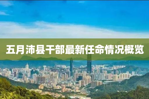 五月沛县干部最新任命情况概览