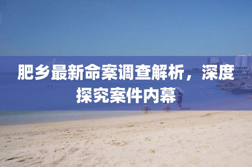 肥乡最新命案调查解析，深度探究案件内幕