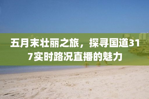五月末壮丽之旅，探寻国道317实时路况直播的魅力
