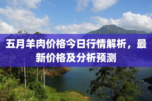 五月羊肉价格今日行情解析，最新价格及分析预测