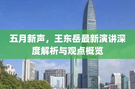 五月新声，王东岳最新演讲深度解析与观点概览
