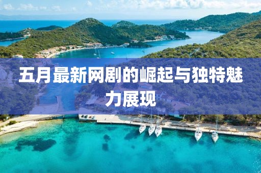 五月最新网剧的崛起与独特魅力展现