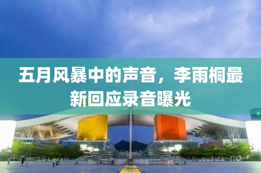 五月风暴中的声音，李雨桐最新回应录音曝光