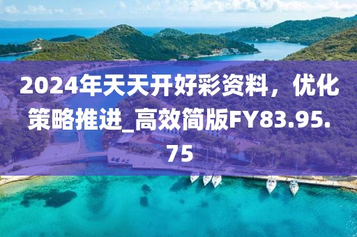 2024年天天开好彩资料，优化策略推进_高效简版FY83.95.75