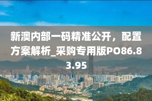 新澳内部一码精准公开，配置方案解析_采购专用版PO86.83.95